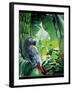 African Grey Parrot, 1990-Sandra Lawrence-Framed Giclee Print