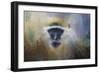 African Grivet Monkey-Jai Johnson-Framed Giclee Print