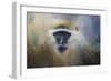 African Grivet Monkey-Jai Johnson-Framed Giclee Print