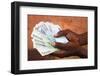 African holding Euros, Lome, Togo-Godong-Framed Photographic Print