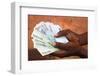 African holding Euros, Lome, Togo-Godong-Framed Photographic Print