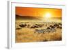 African Landscape. Zebras Herd and Antelopes Wildebeest at Sunset, Kenya-Oleg Znamenskiy-Framed Photographic Print