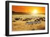 African Landscape. Zebras Herd and Antelopes Wildebeest at Sunset, Kenya-Oleg Znamenskiy-Framed Photographic Print