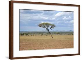 African Landscape-meunierd-Framed Photographic Print