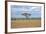 African Landscape-meunierd-Framed Photographic Print