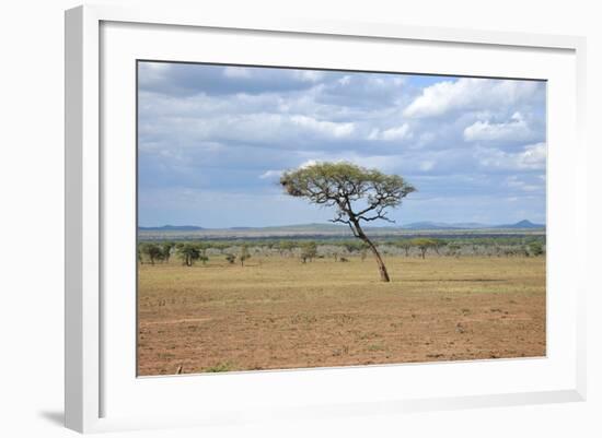 African Landscape-meunierd-Framed Photographic Print