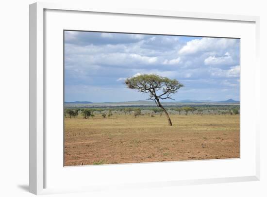 African Landscape-meunierd-Framed Photographic Print