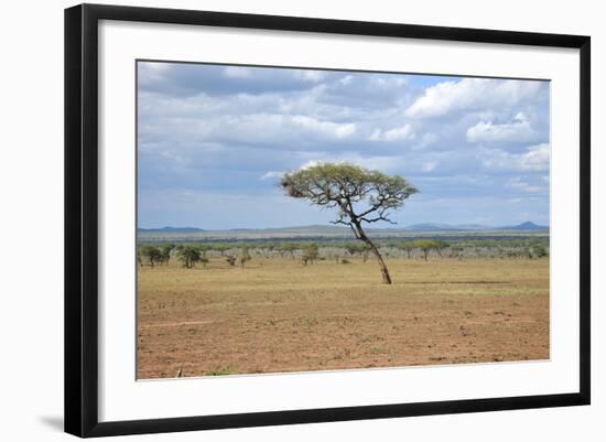 African Landscape-meunierd-Framed Photographic Print