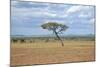 African Landscape-meunierd-Mounted Photographic Print