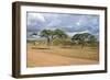 African Landscape-meunierd-Framed Photographic Print