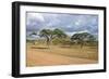 African Landscape-meunierd-Framed Photographic Print