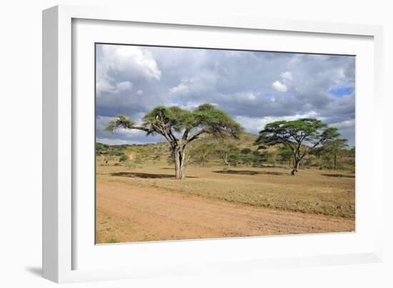 African Landscape-meunierd-Framed Photographic Print