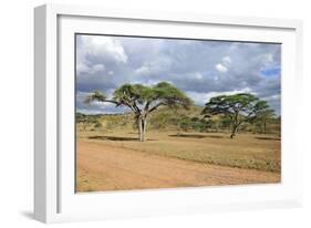 African Landscape-meunierd-Framed Photographic Print