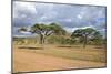 African Landscape-meunierd-Mounted Photographic Print