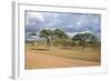 African Landscape-meunierd-Framed Photographic Print