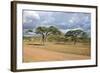 African Landscape-meunierd-Framed Photographic Print