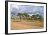 African Landscape-meunierd-Framed Photographic Print