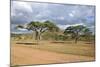 African Landscape-meunierd-Mounted Photographic Print