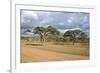 African Landscape-meunierd-Framed Photographic Print