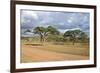 African Landscape-meunierd-Framed Photographic Print