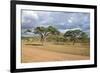 African Landscape-meunierd-Framed Photographic Print