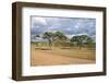 African Landscape-meunierd-Framed Photographic Print