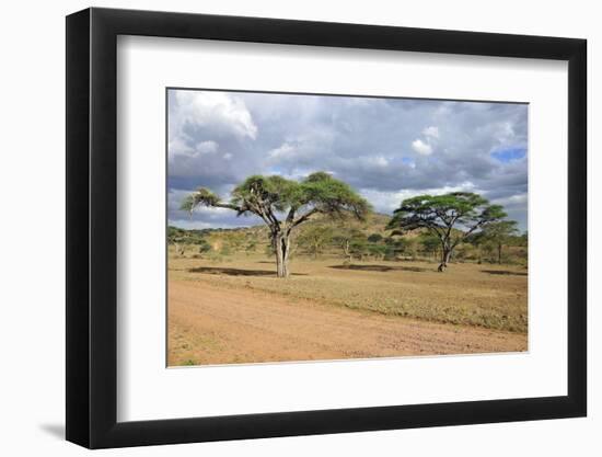 African Landscape-meunierd-Framed Photographic Print