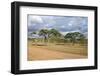 African Landscape-meunierd-Framed Photographic Print