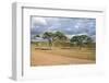 African Landscape-meunierd-Framed Photographic Print