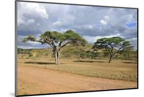 African Landscape-meunierd-Mounted Photographic Print