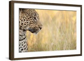 African Leopard-Michele Westmorland-Framed Photographic Print