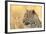 African Leopard-Michele Westmorland-Framed Photographic Print