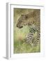 African Leopard-Mary Ann McDonald-Framed Photographic Print