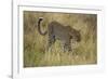 African Leopard-Mary Ann McDonald-Framed Photographic Print