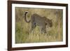 African Leopard-Mary Ann McDonald-Framed Photographic Print