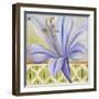 African Lily I-Patricia Pinto-Framed Art Print