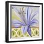 African Lily I-Patricia Pinto-Framed Art Print