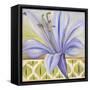 African Lily I-Patricia Pinto-Framed Stretched Canvas