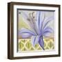 African Lily I-Patricia Pinto-Framed Art Print