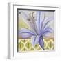 African Lily I-Patricia Pinto-Framed Art Print