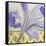 African Lily II-Patricia Pinto-Framed Stretched Canvas