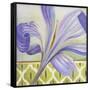 African Lily II-Patricia Pinto-Framed Stretched Canvas