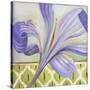 African Lily II-Patricia Pinto-Stretched Canvas