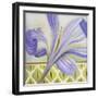 African Lily II-Patricia Pinto-Framed Art Print