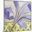 African Lily II-Patricia Pinto-Mounted Art Print