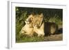 African Lion Cubs-Mary Ann McDonald-Framed Photographic Print