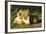 African Lion Cubs-Mary Ann McDonald-Framed Photographic Print