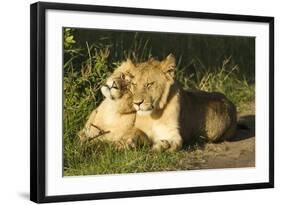 African Lion Cubs-Mary Ann McDonald-Framed Photographic Print