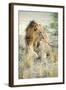 African Lion (Panthera Leo), Zambia, Africa-Janette Hill-Framed Premium Photographic Print