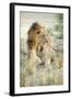 African Lion (Panthera Leo), Zambia, Africa-Janette Hill-Framed Premium Photographic Print